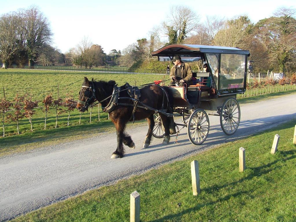 Rockfield House B&B Killarney Exterior foto
